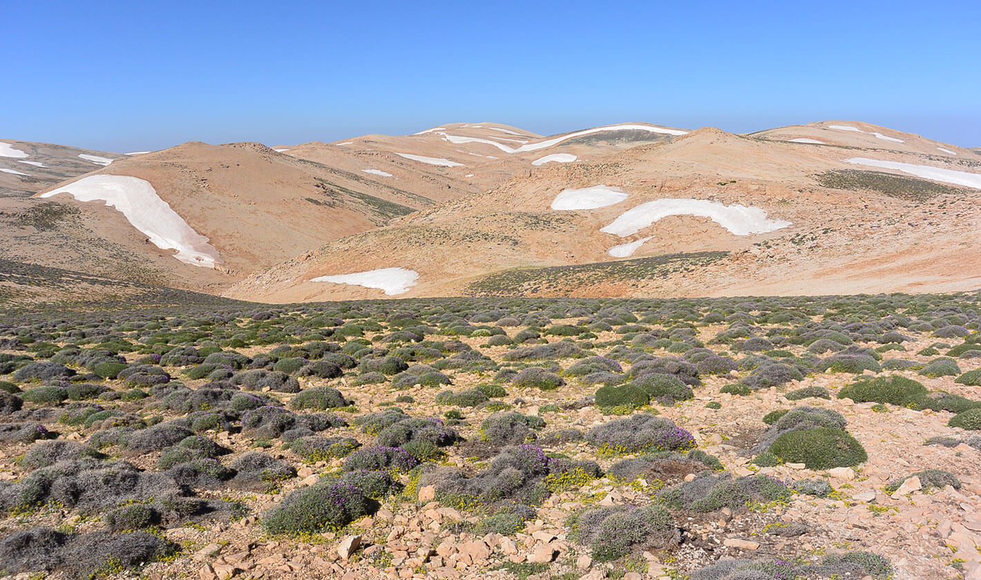 Jabal Makmel (c) Hicham Zein