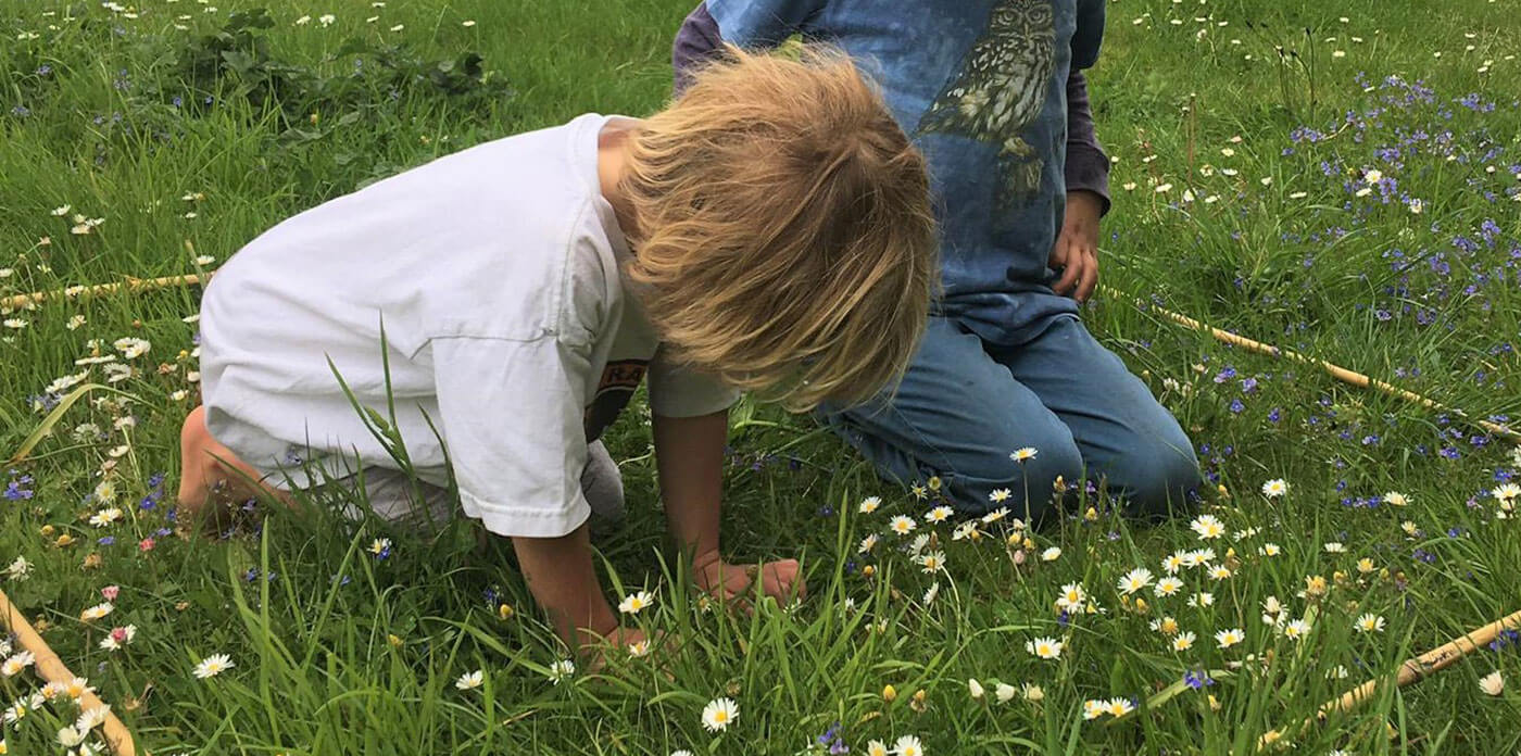 Counting flowers in an EFC quadrat (c) Archie Thomas