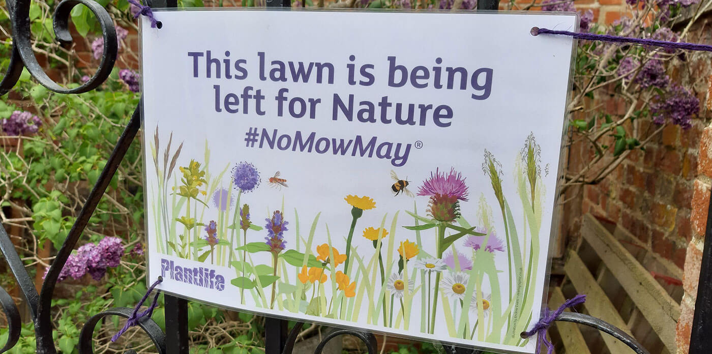 No Mow May sign (c) Adrian Penrose