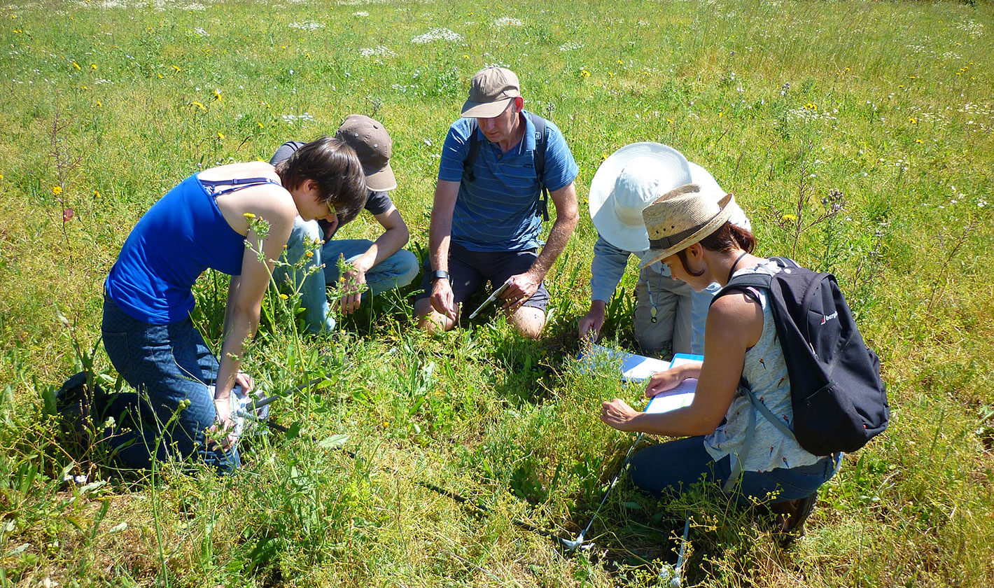 Fiveheads RA survey 30.06.18 (c) Plantlife