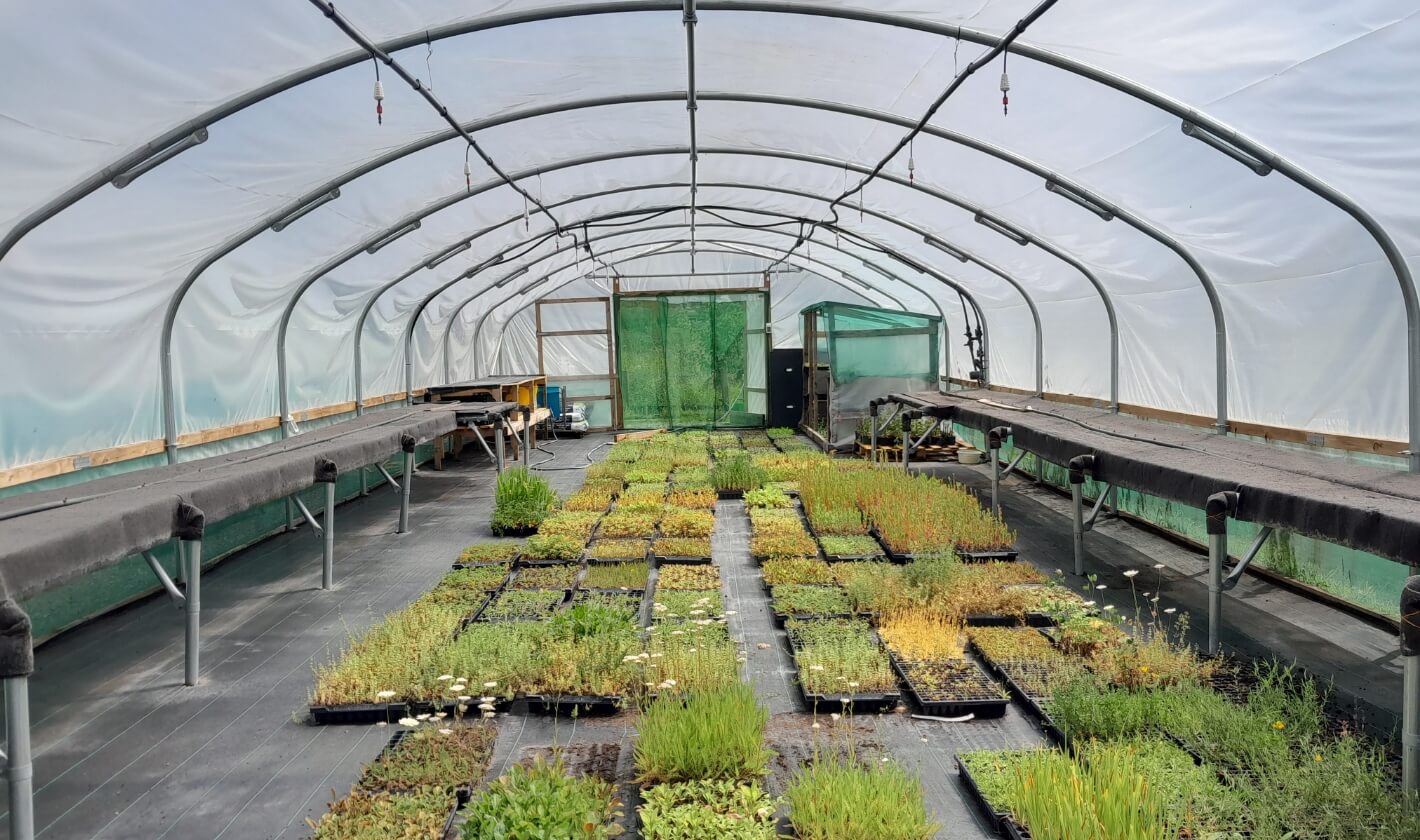 Cumbria Wildlife Trust plant nursery
