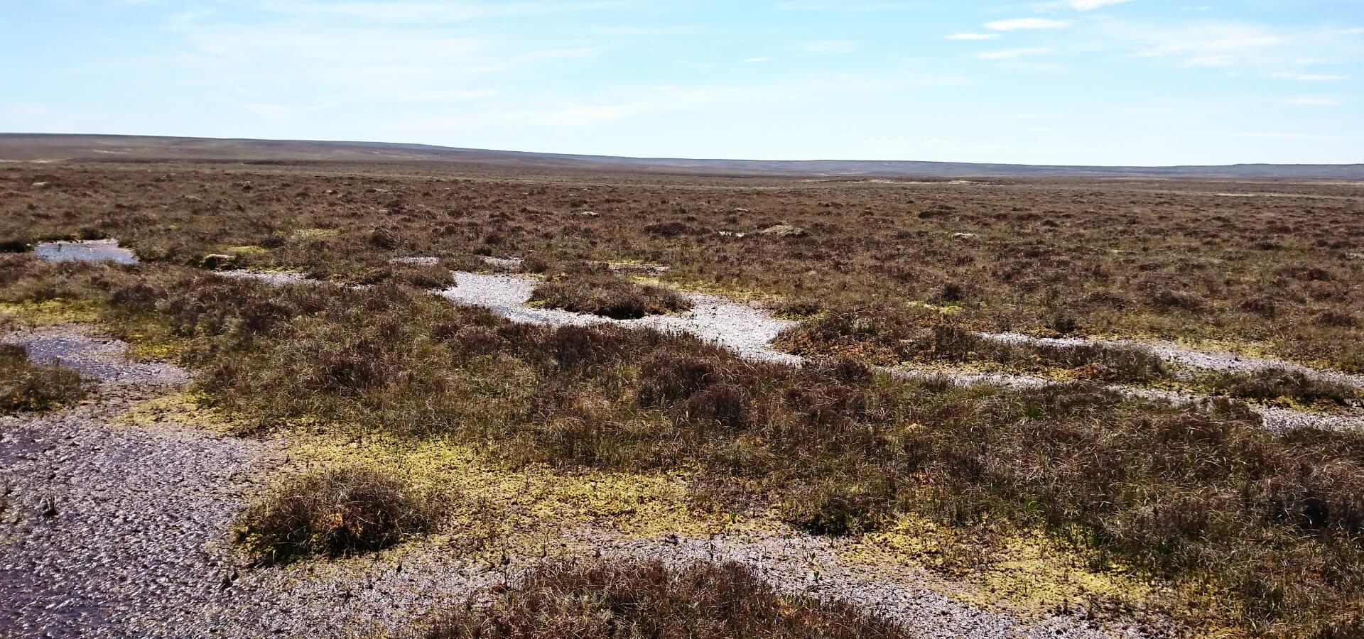 Munsary (c) Alistair Whyte