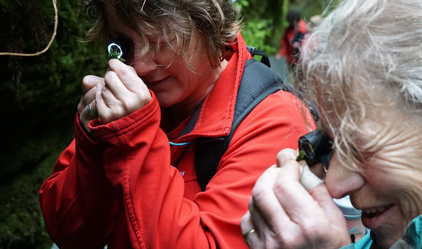 New Generation Botanist bryophyte trainees (c) Kate Hind