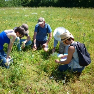 Fiveheads RA survey (c) Plantlife